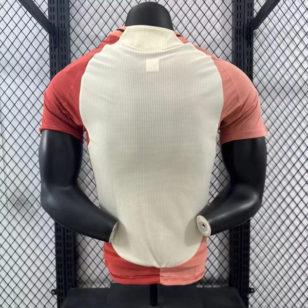 Player 2024-25 Lyon OL Third Away Football jersey