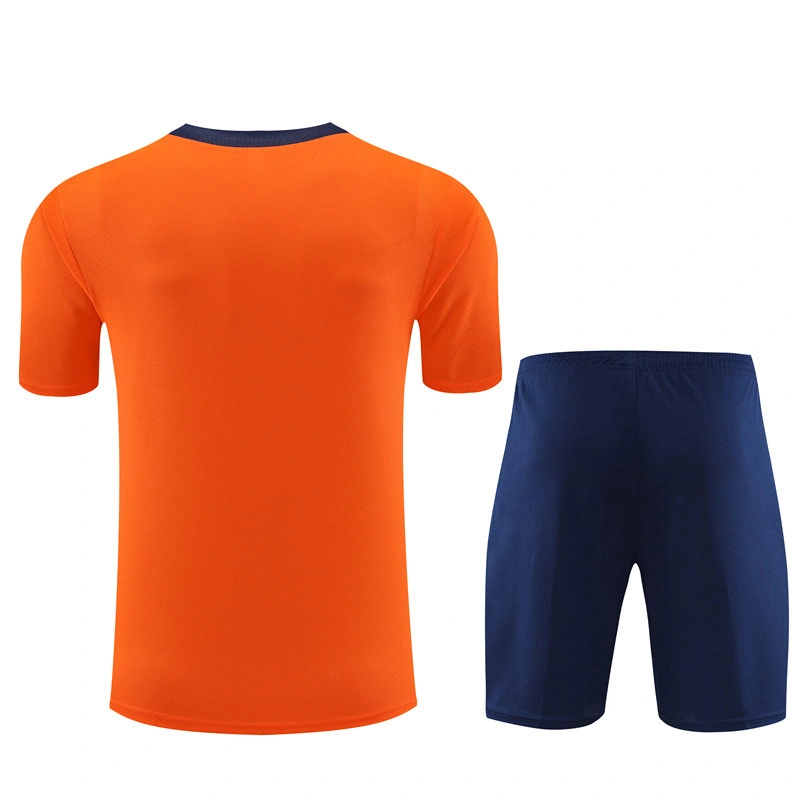 2024-25 Netherlands Short-sleeved training clothese