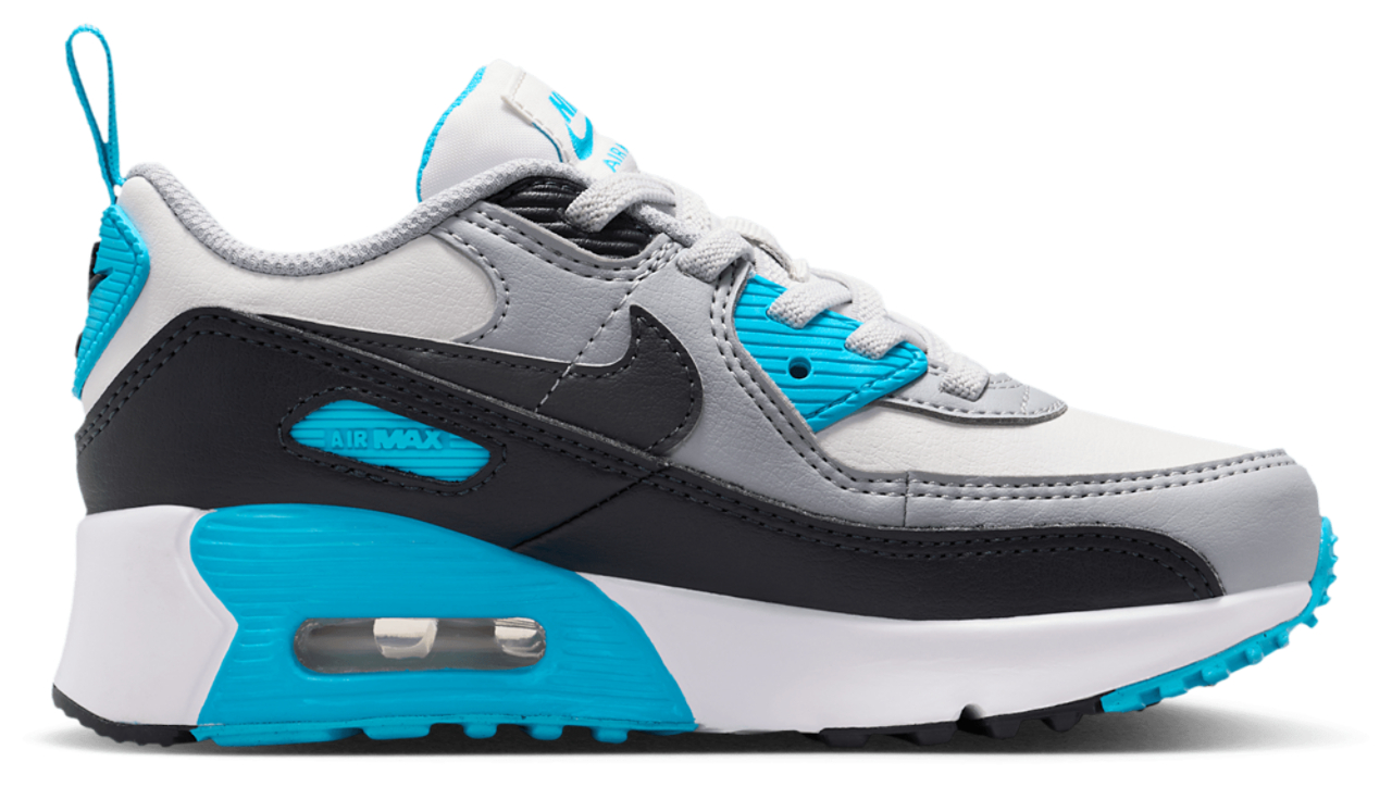 Nike Air Max 90 EasyOn