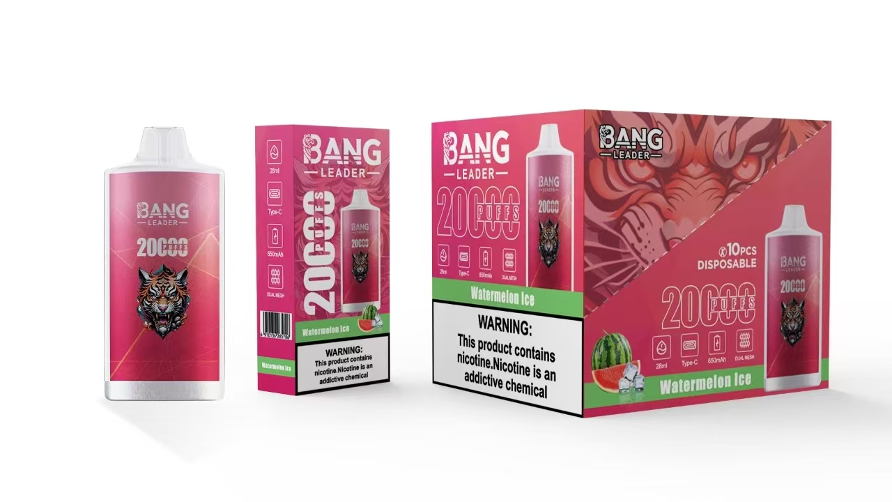 Bang Leader 20K Puffs 2-in-1 Prefilled Vape | Dual Flavor, Rechargeable
