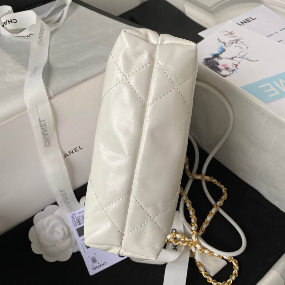 Chanel 22 Mini Bag in Shiny Calfskin