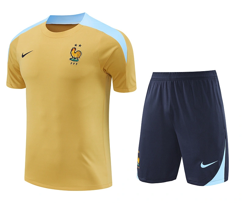 2024-25 France Short-sleeved training clothes