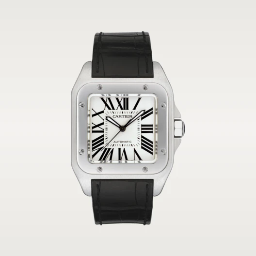 Cartier SANTOS 100 Silver Gray 38mm