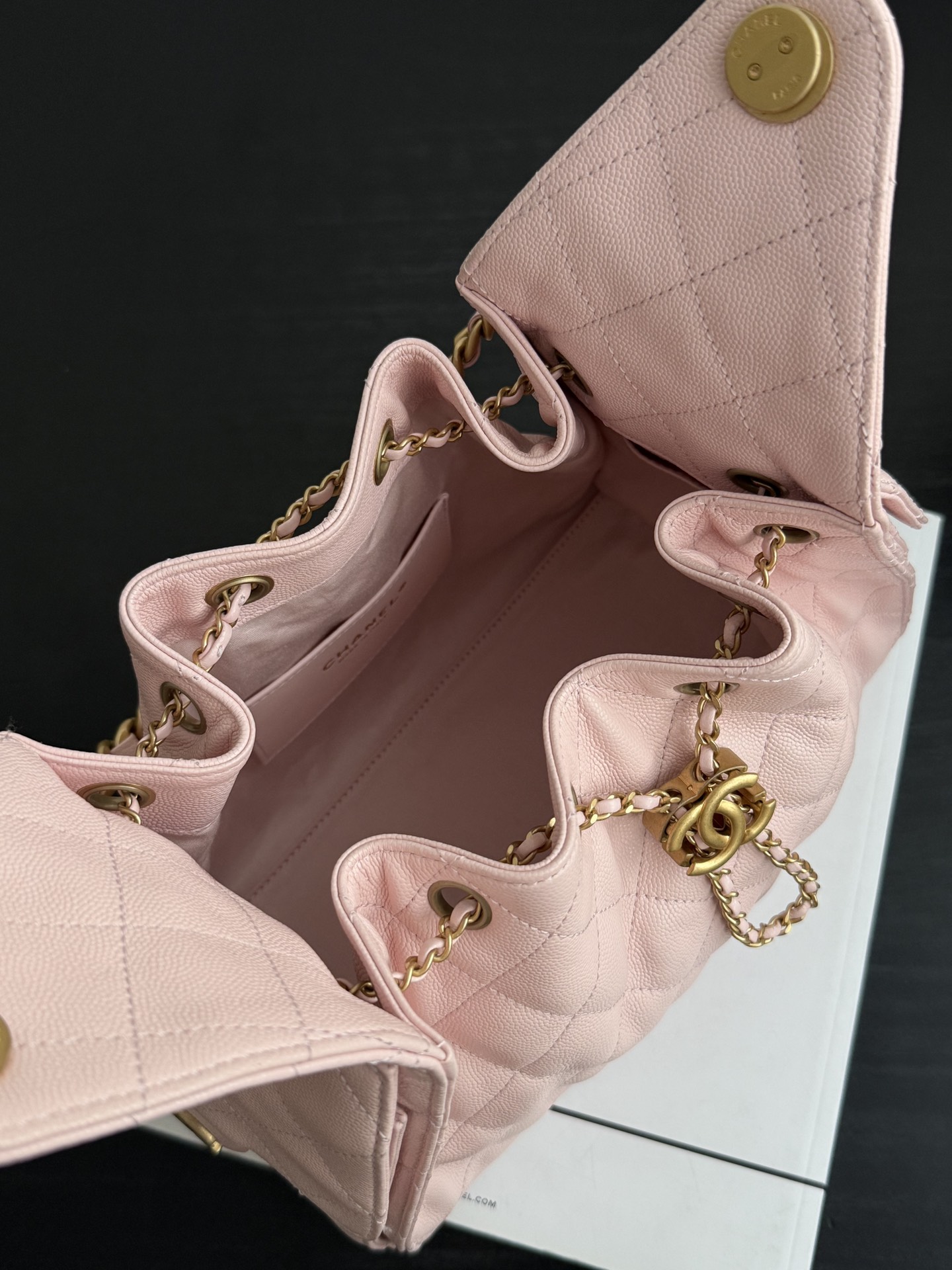 Chanel Spring-Summer 2025 Handbag Grained Calfskin & Gold-Tone Metal Pink 30Cm/ 11.8In