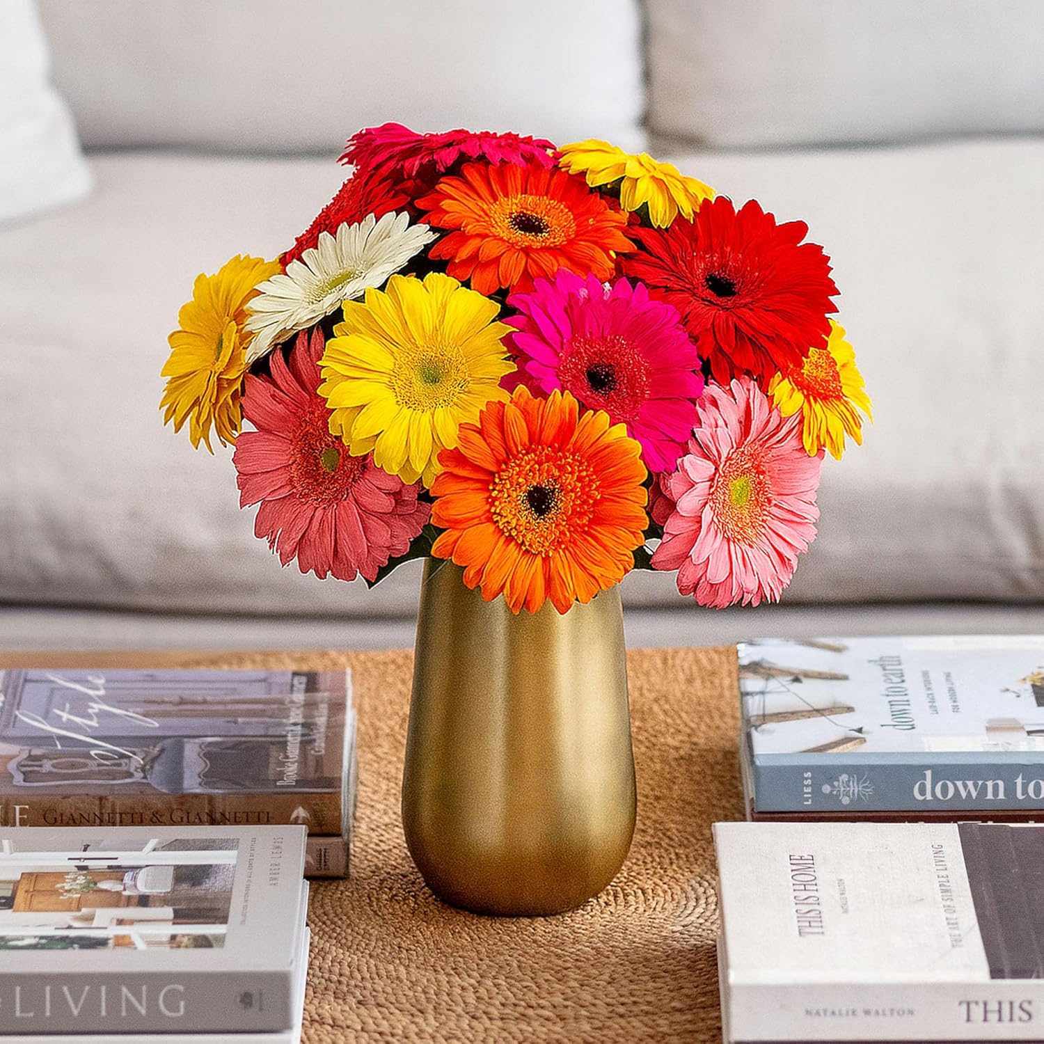 BloomsyBox: 15 Stems Multicolored Gerbera Daisy Bouquet, Durable, Hand Tied, Responsibly Sourced, Farm Fresh Flower Bouquet : Perfect for Weddings, Birthdays and Anniversaries : Vase Not Included