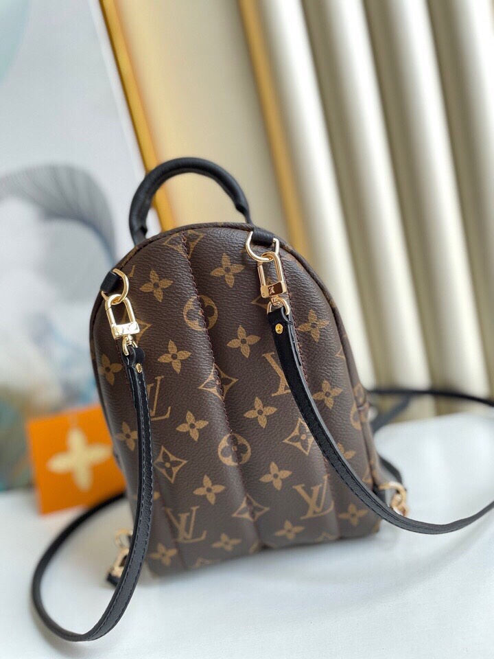 Louis Vuitton Palm Springs Backpack Mini Monogram Canvas – 17cm/6.7in