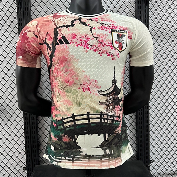 Player 2024-25 Japan Especial Football jersey
