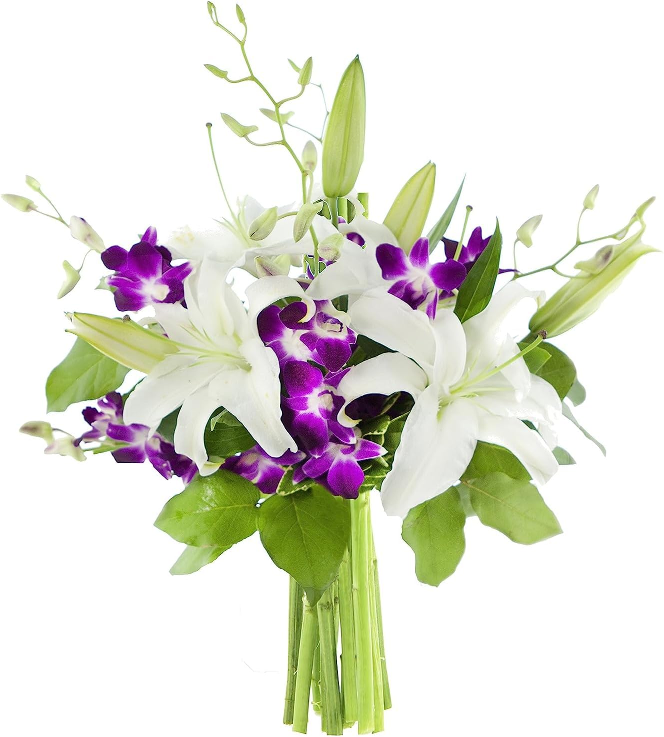 KaBloom - Bouquet of 3 Oriental White Lily 5 Purple Orchid With Lush Greens - Fresh Flowers for Birthday, Valentine's & Mother's Day