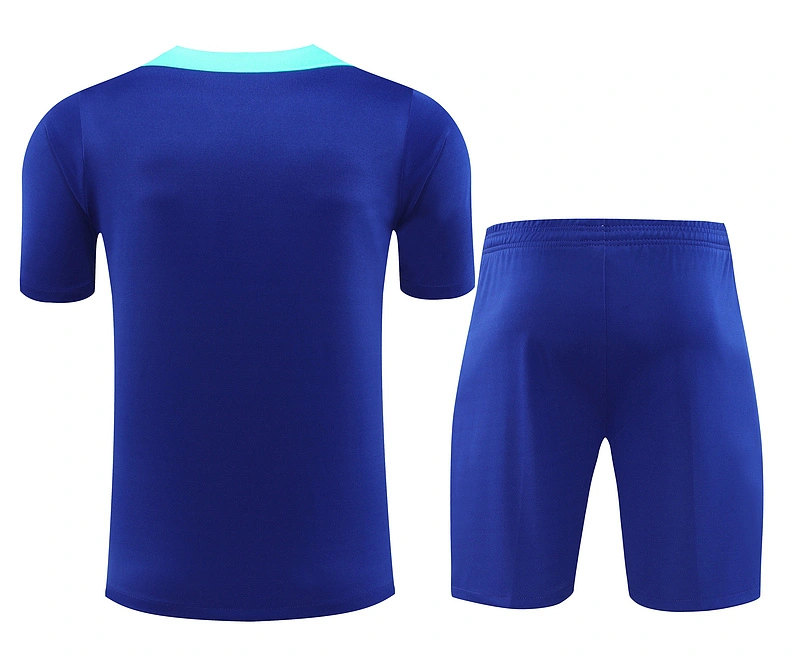 2024-25 Brazil Short-sleeved training clothese