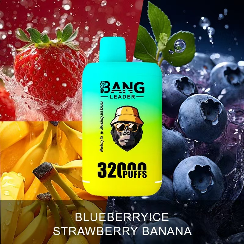[Minimum order of 3]Bang Leader 32K Puffs 2-in-1 Prefilled Vape | Dual Flavor,  Rechargeable