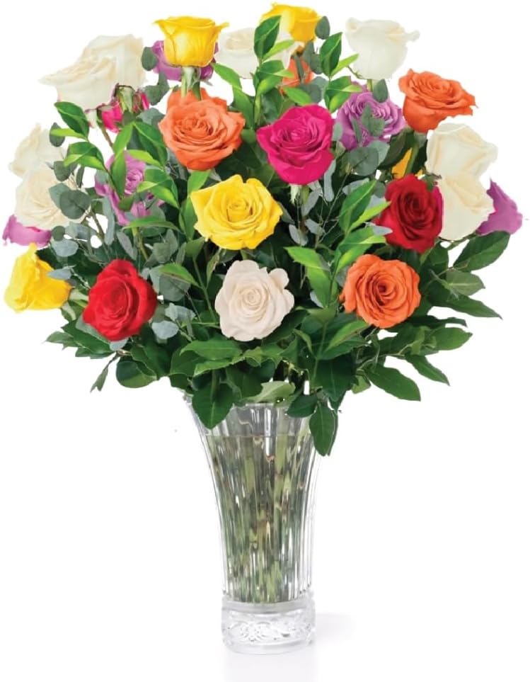 Aquarossa Farms – Flowers for Delivery, Fresh Flowers Bouquet, Handpicked from the Farm, Gift for Birthday, Anniversary, or Just Because – 24 Fresh Roses
