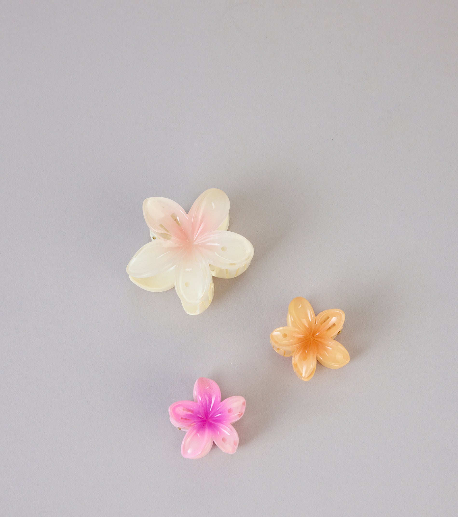 Tropical Tresses Hair Claw Clip Set