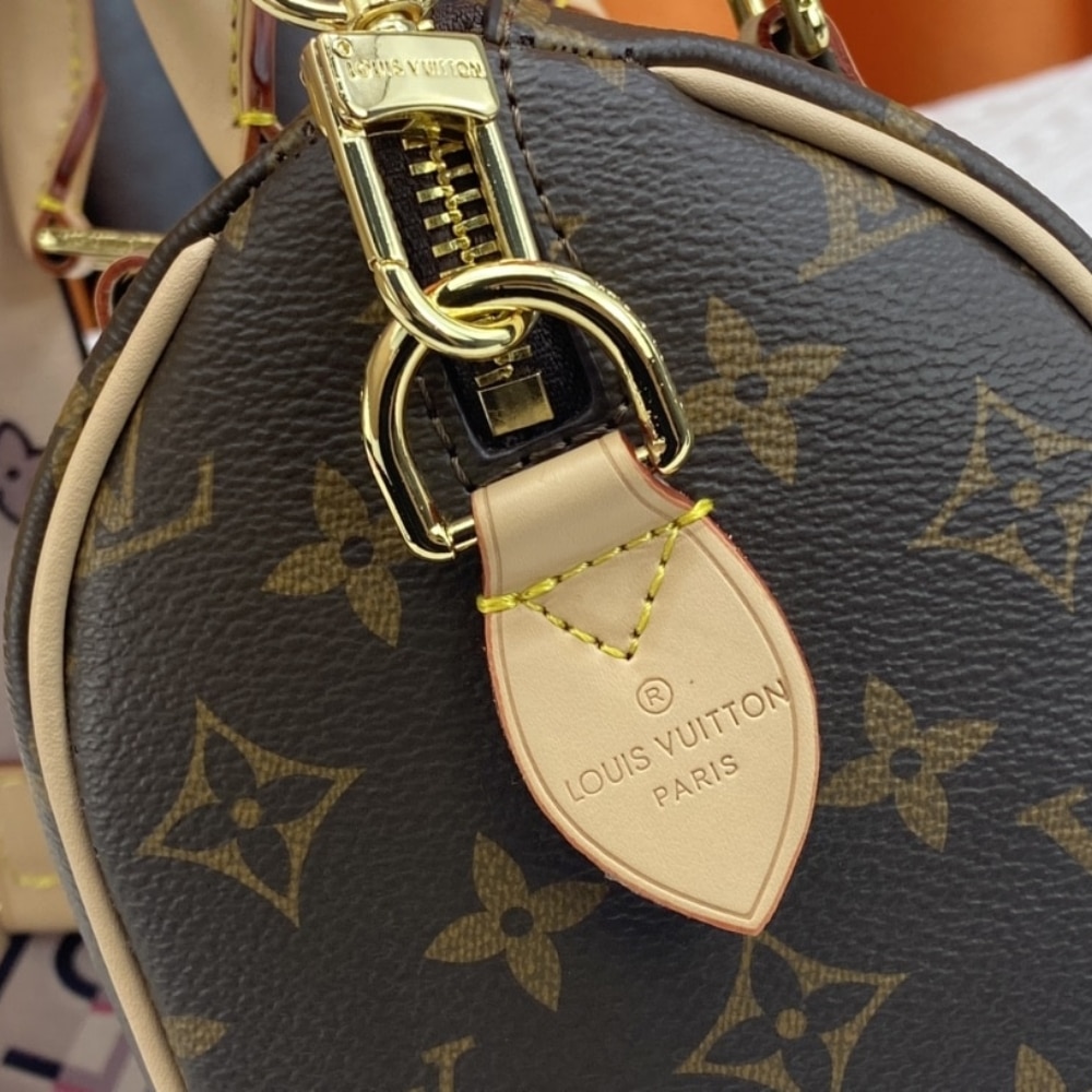 Louis Vuitton Speedy Bandoulière 20 Bag Black 20Cm M46234