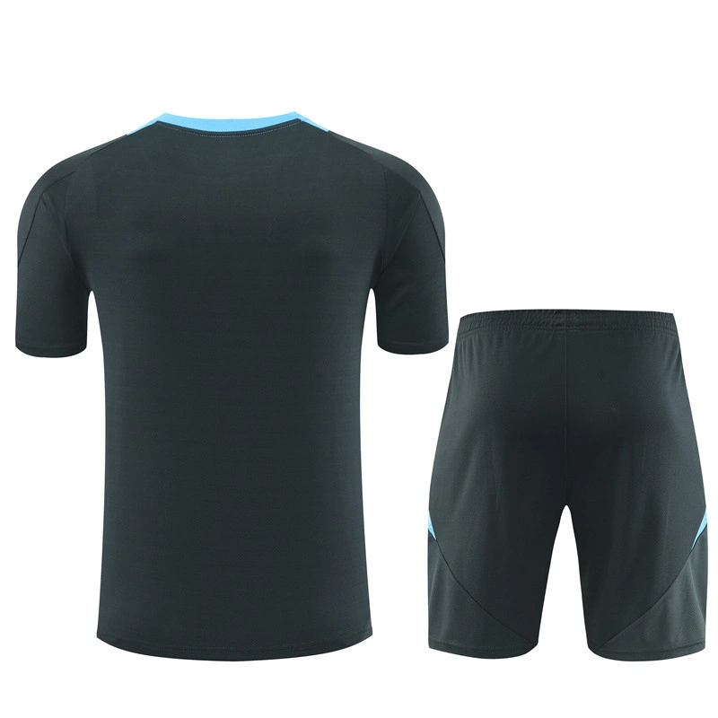 2024-25 Argentina Short-sleeved training clothese