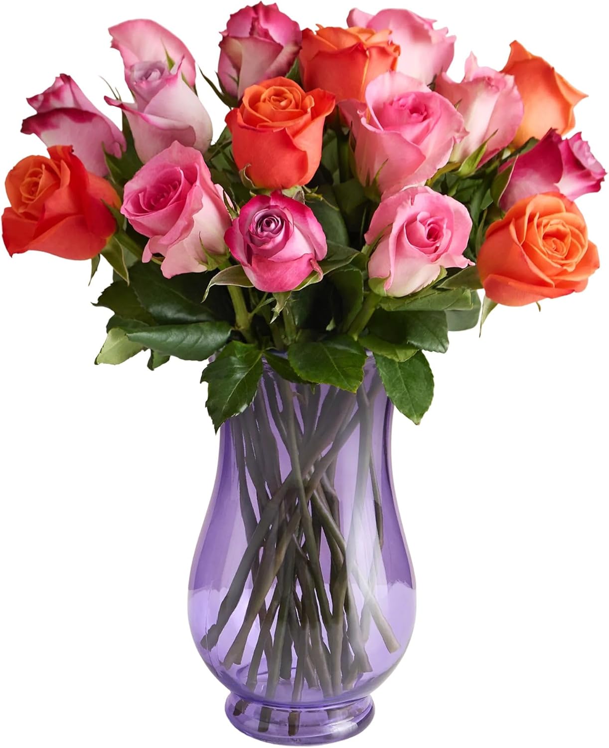 1800 Flowers – 18 Stem Assorted Sorbet Roses (Clear Purple Vase Included) | Fresh Cut Spring Flowers for Delivery | Gift for Easter, Anniversary, Sympathy, and Special Occasions