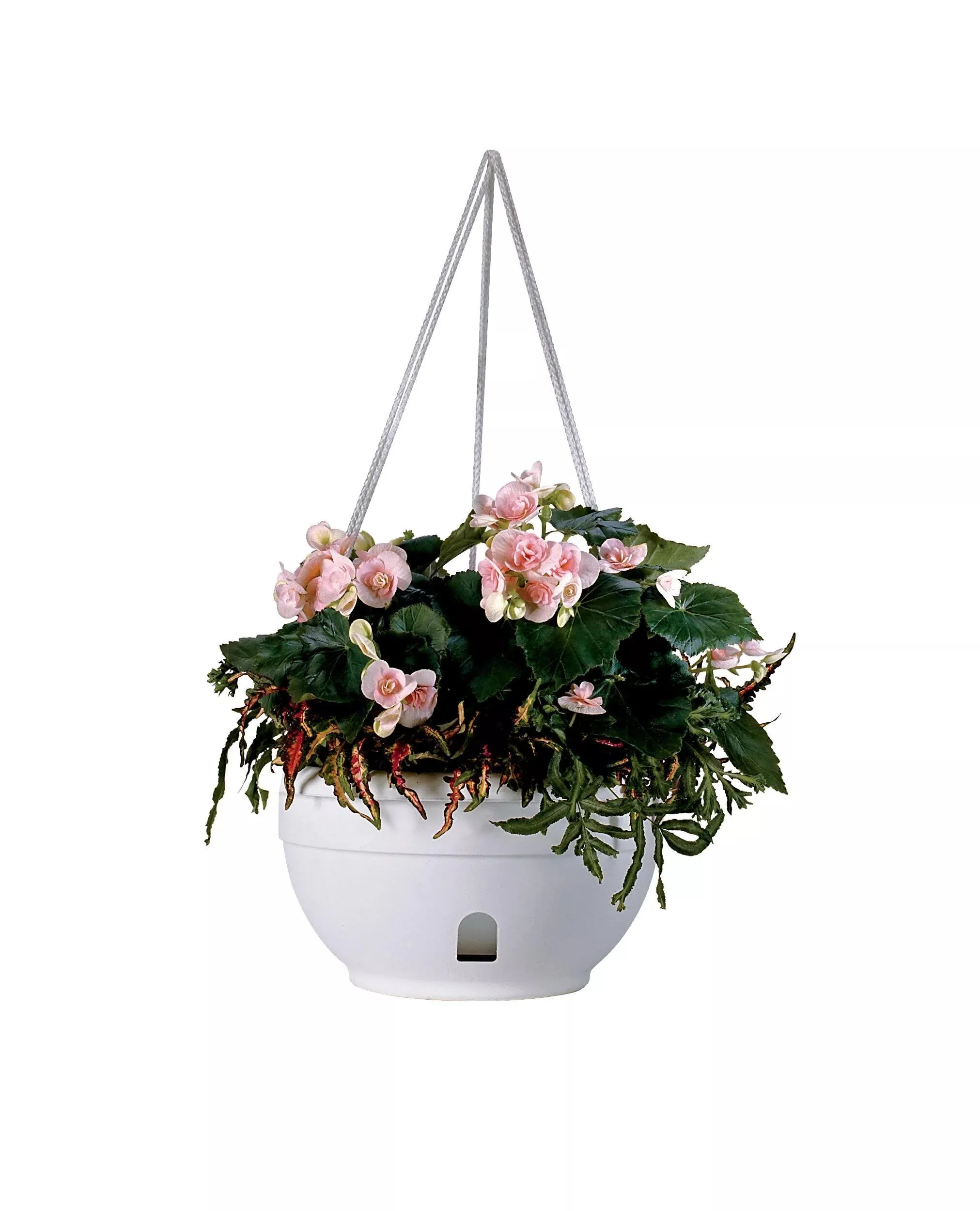 Self-Watering Hanging Basket