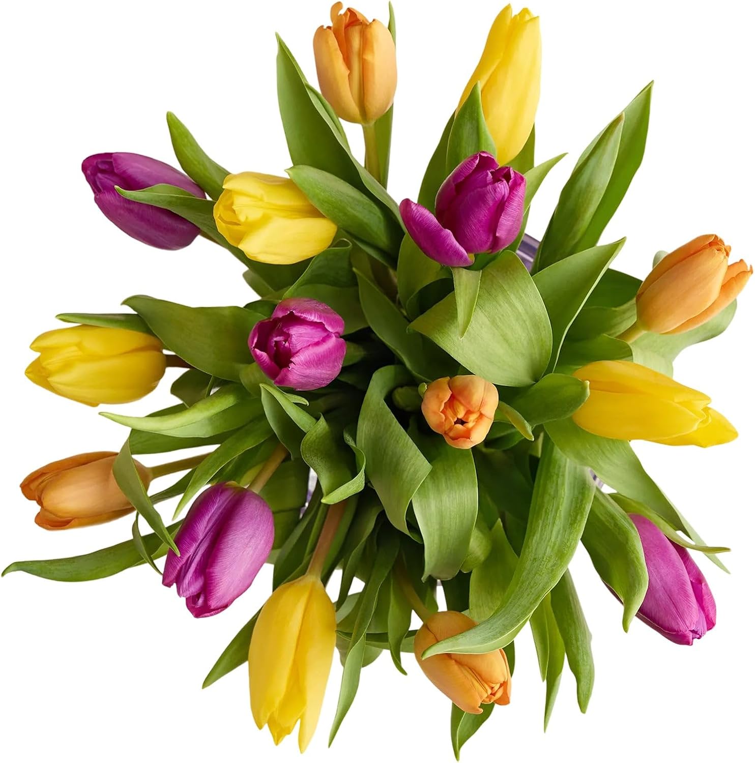 1800 Flowers – 15 Stem Assorted Tulip Bouquet (Bouquet Only) | Fresh Cut Spring Flowers for Delivery | Gift for Easter, Anniversary, Sympathy, and Special Occasions