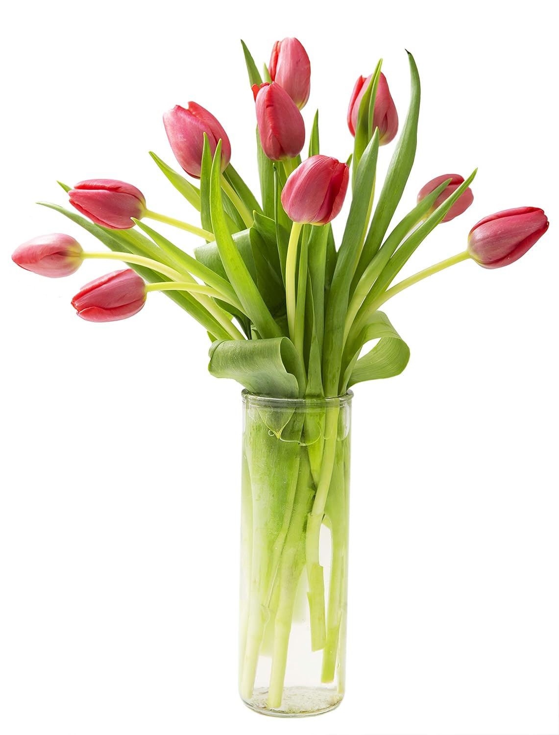 KaBloom Red Tulips - 10 Stems with Vase. Mother's Day Collection. Free Prime Next Day Delivery