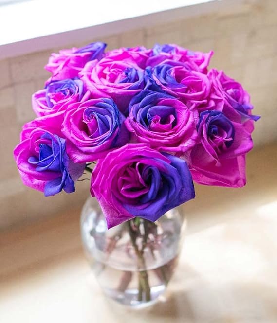 From You Flowers - One Dozen Cosmic Roses with Glass Vase | Fresh Flower Bouquets for Birthday, Anniversary, Get Well or Celebration