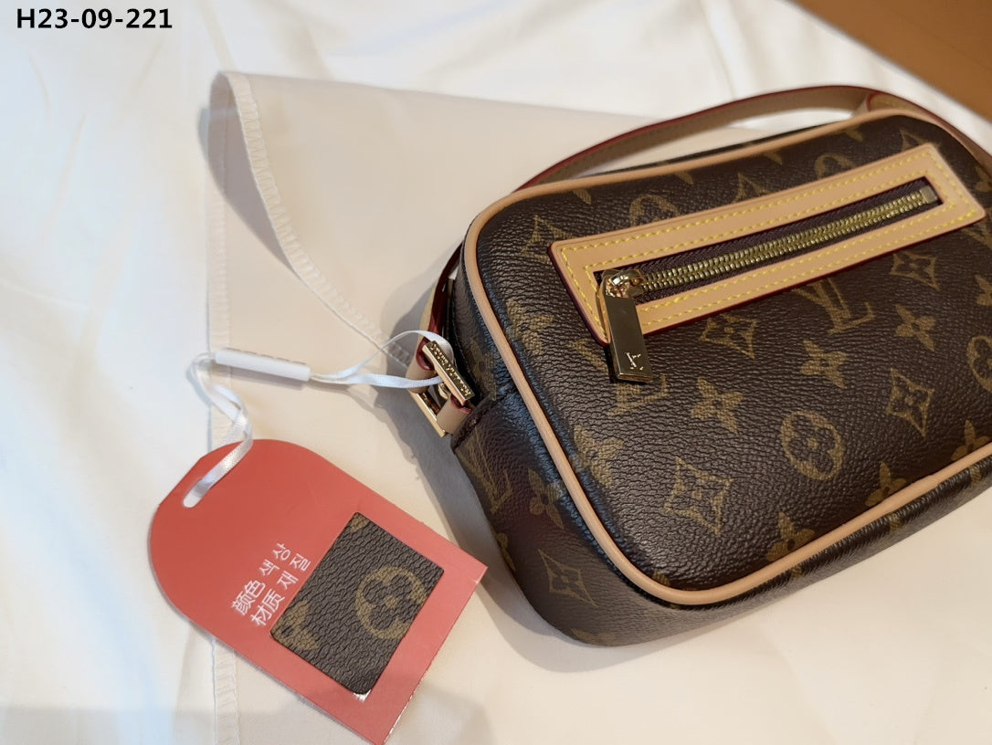 Louis Vuitton Pochette Cite Pm Monogram Canvas 22Cm