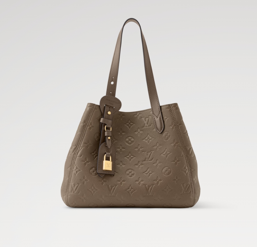LOUIS VUITTON M25890 All In One PM