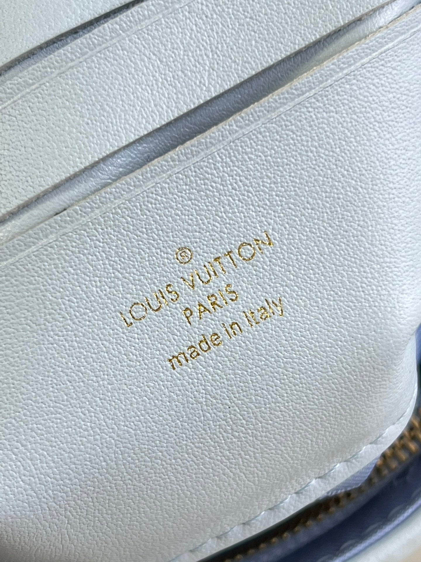 Louis Vuitton Wallet On Strap Bubblegram Blue