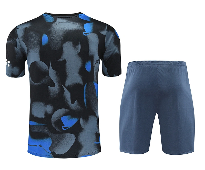 2024-25 Inter Milan Short-sleeved training clothese
