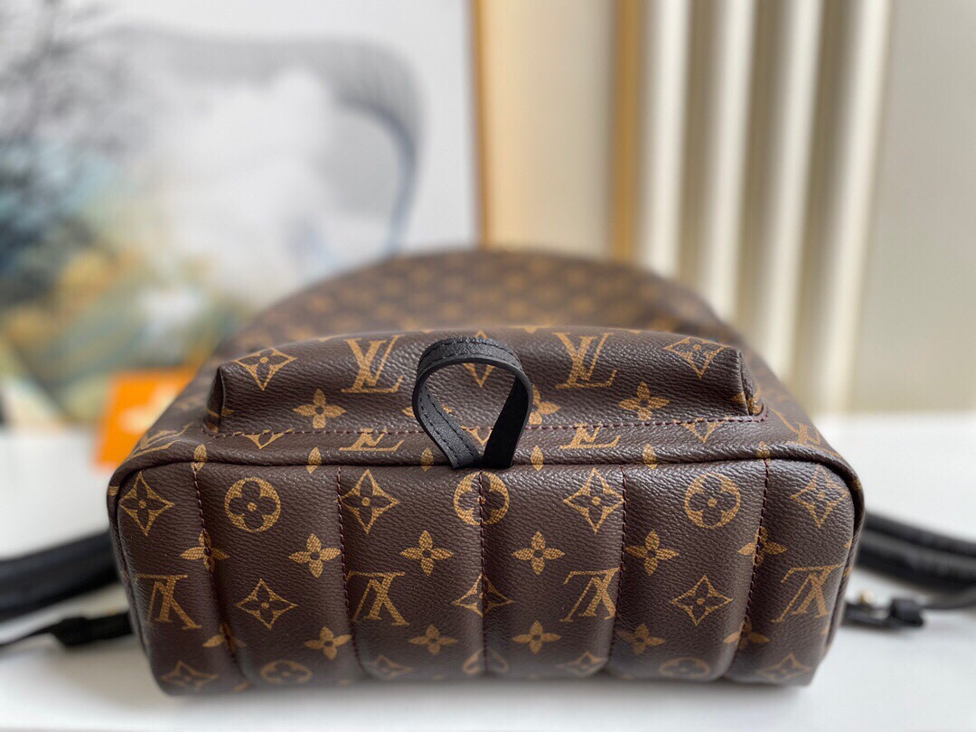 Louis Vuitton Palm Springs Backpack MM Monogram Canvas 28cm/11in M44874