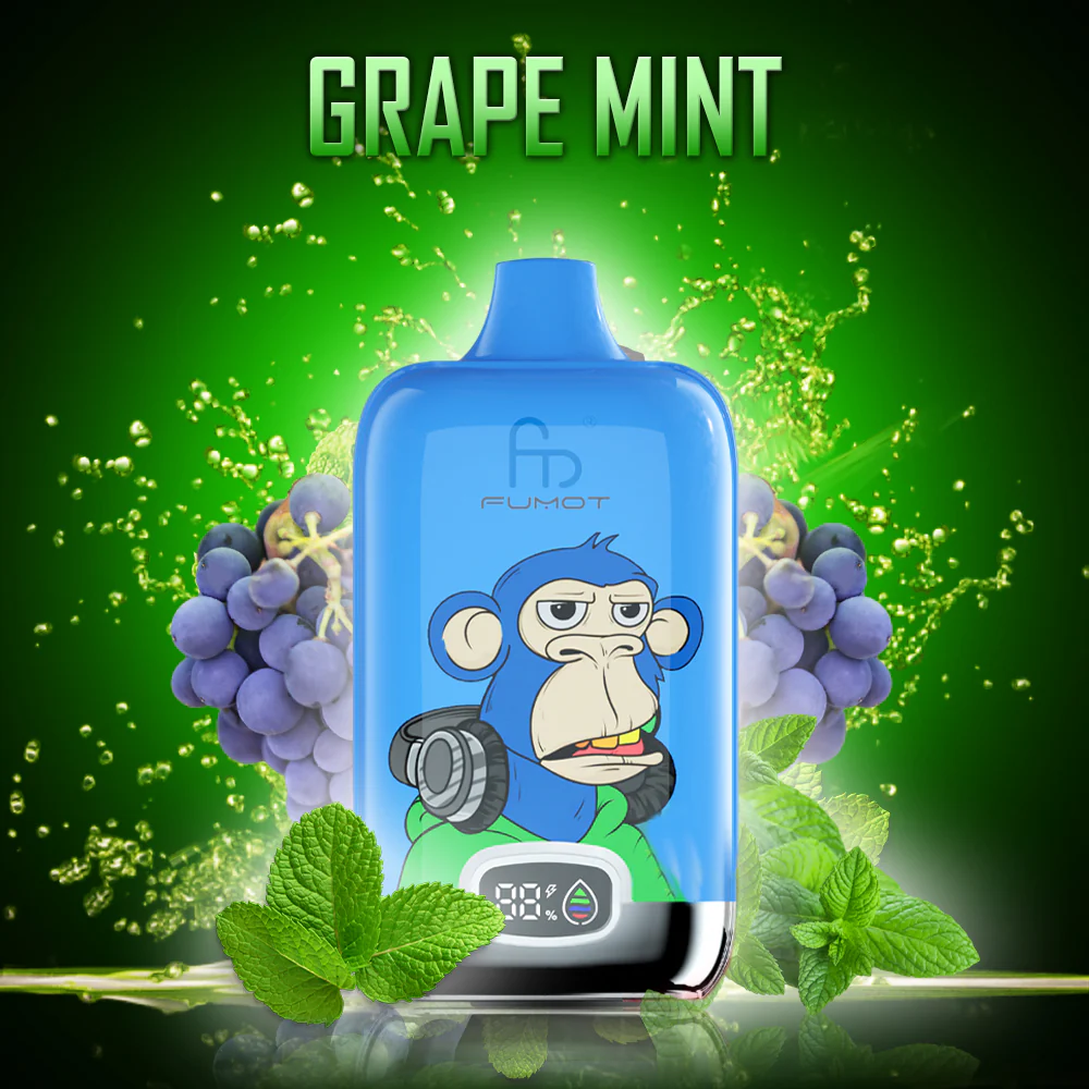 RandM Digital Box 12000 Puffs Hot Seller LED Display Disposable Vape
