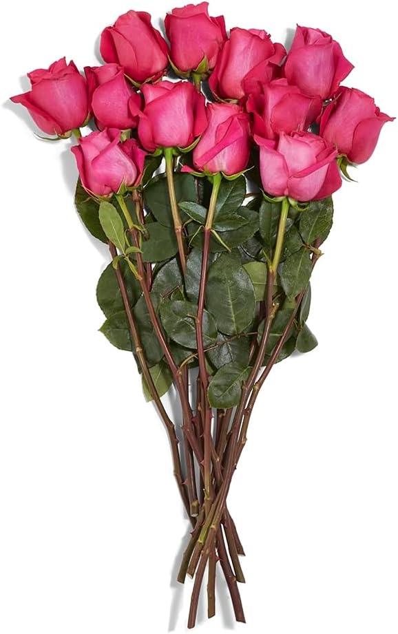 FLORAL Dozen Roses 40cm, 1 EA