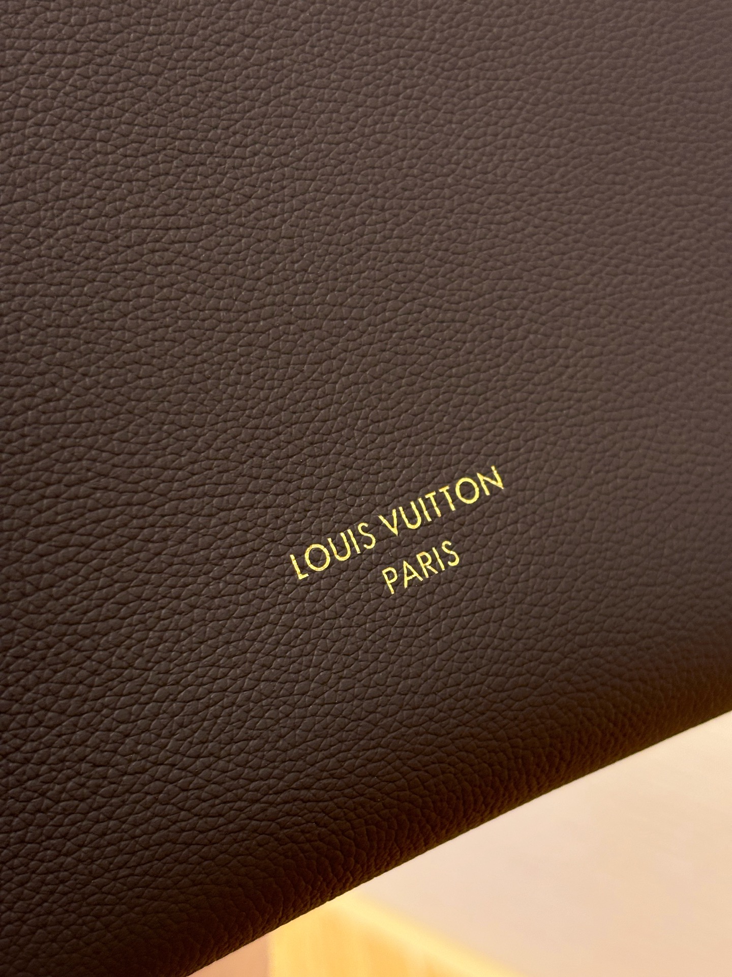 Louis Vuitton Low Key Hobo MM 35cm/ 13.8in