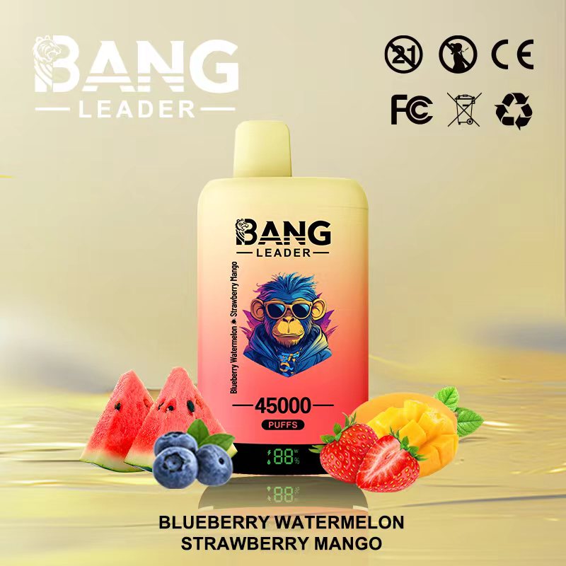 Bang Leader 45K Puffs 2-in-1 Prefilled Vape | Dual Flavor,  Rechargeable