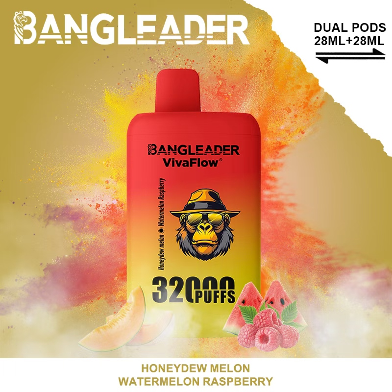 [Minimum order of 3]Bang Leader 32K Puffs 2-in-1 Prefilled Vape | Dual Flavor,  Rechargeable
