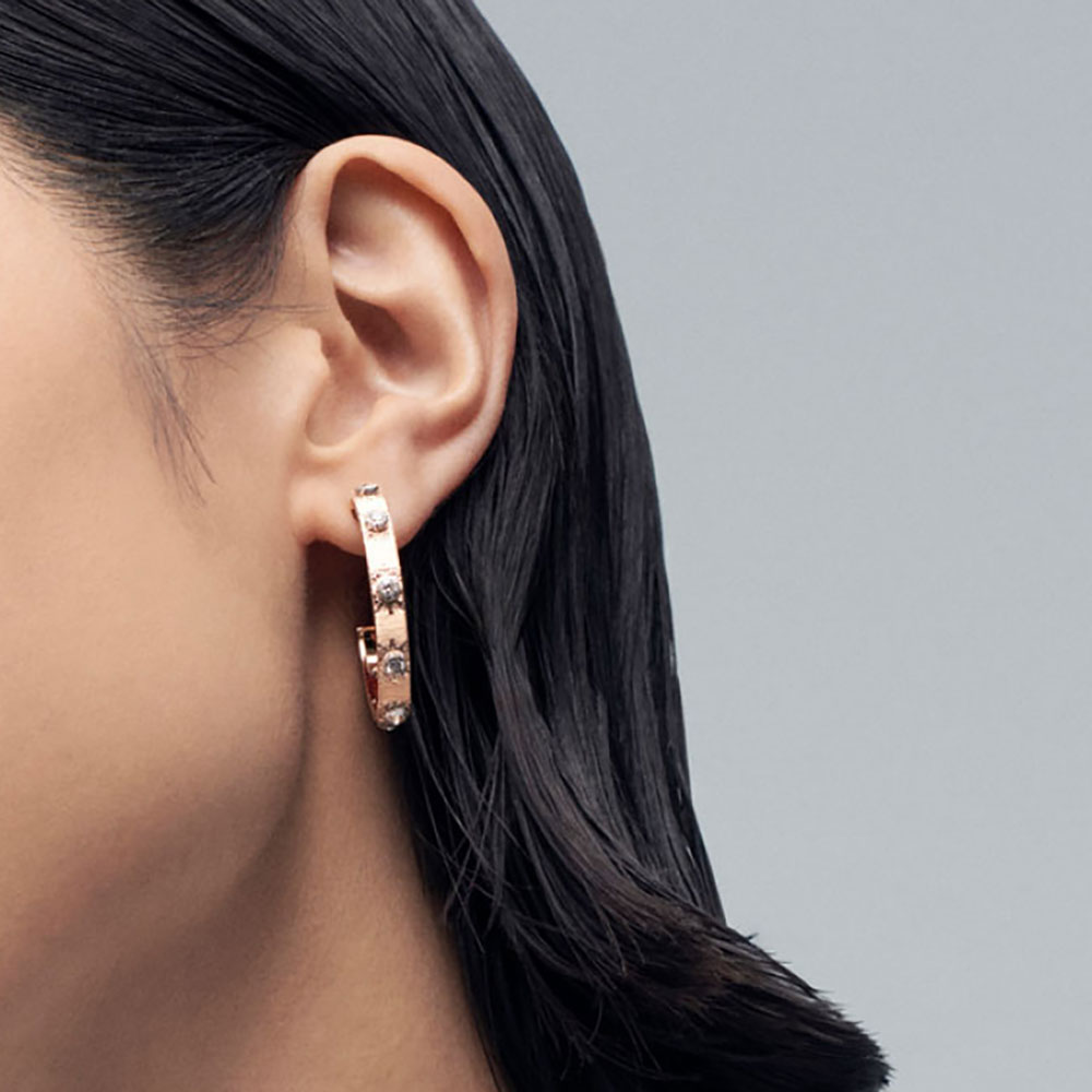 Buccellati Earrings