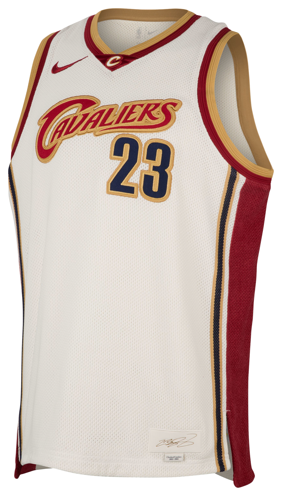 Nike Lebron Dri-Fit Reserve Jersey