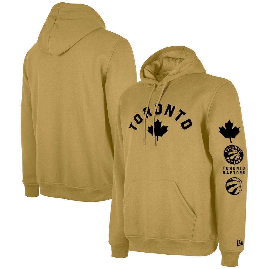 Men's Toronto Raptors  Tan 2023/24 City Edition Pullover Hoodie