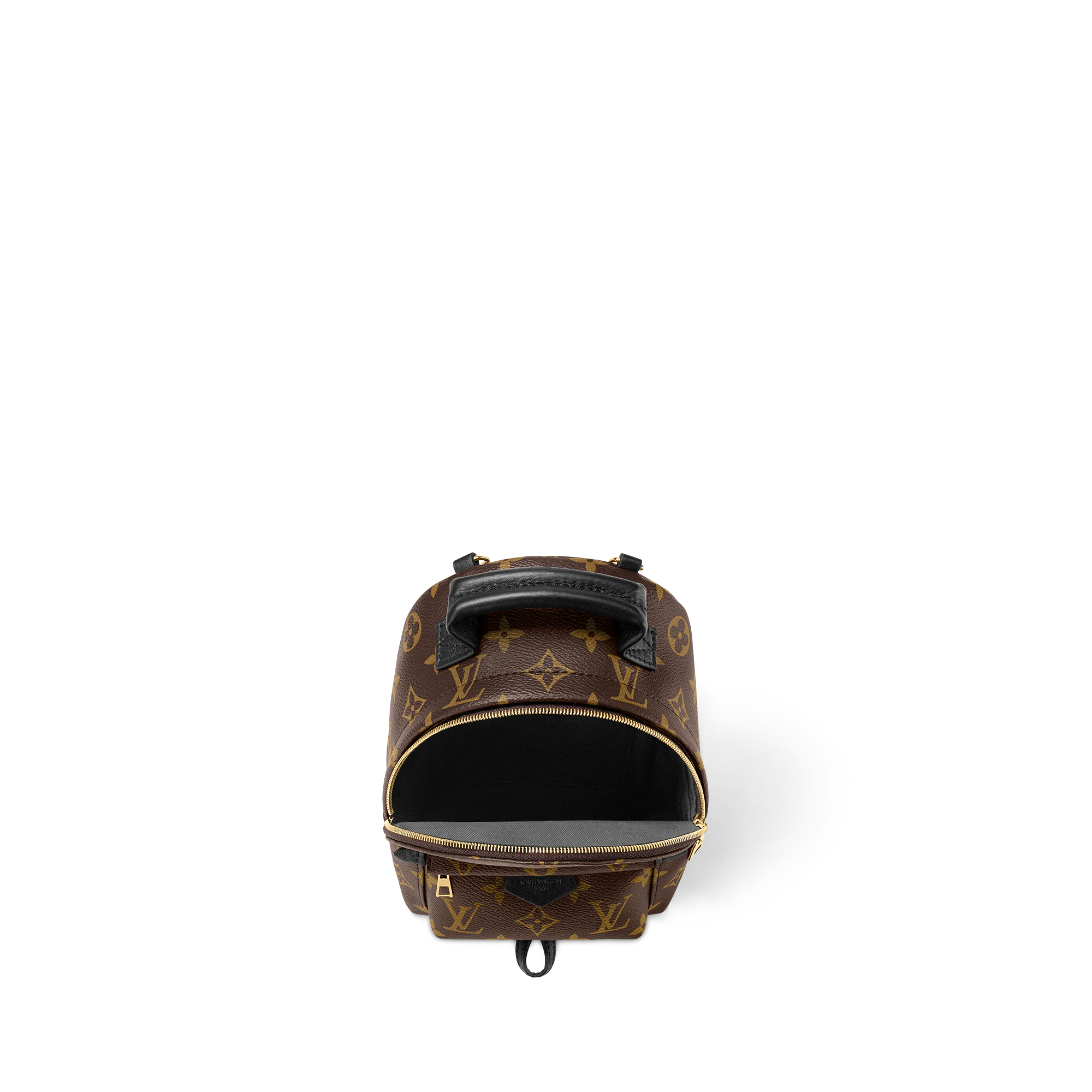 Louis Vuitton Palm Springs Backpack Mini Monogram Canvas – 17cm/6.7in