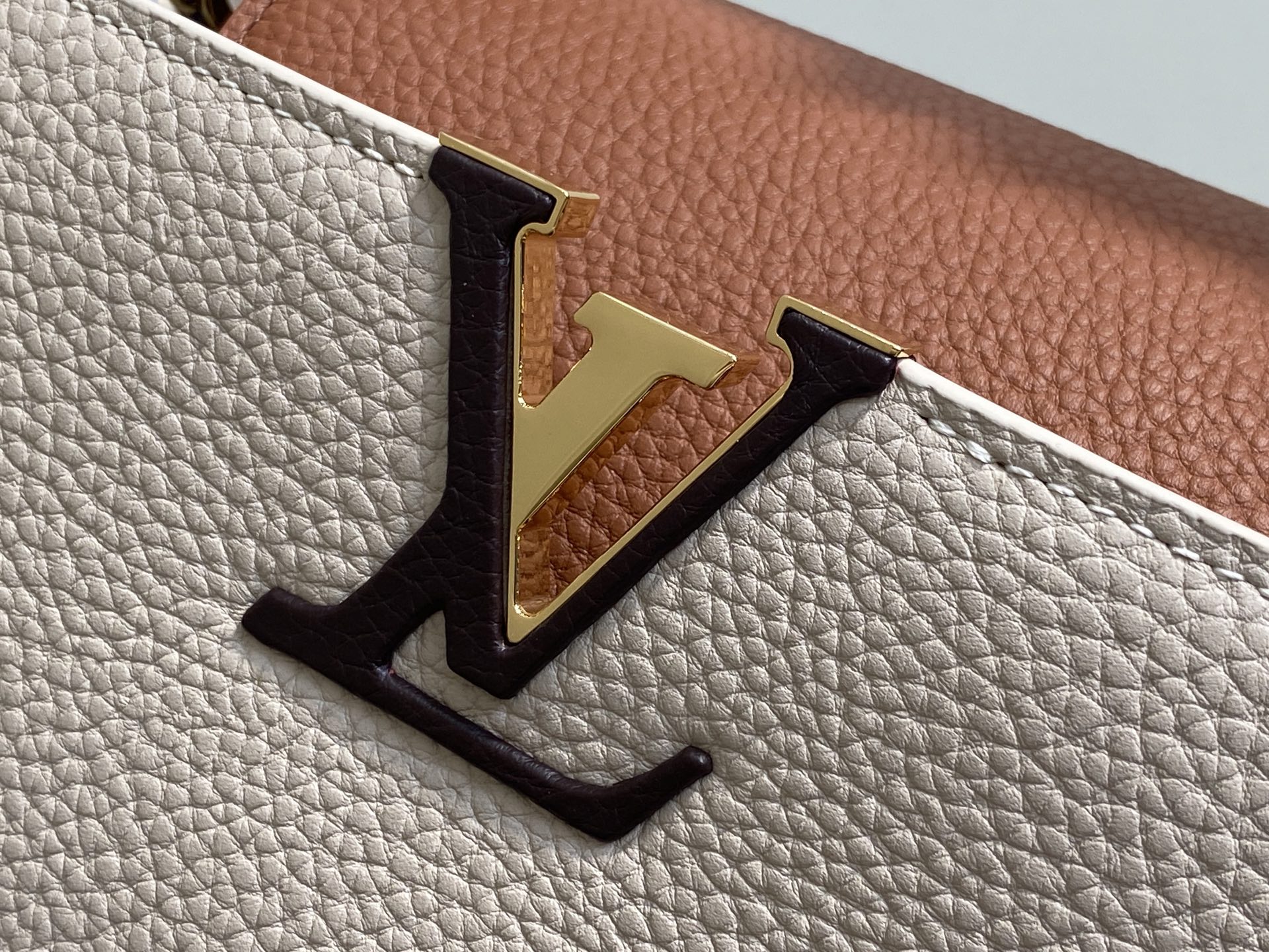Louis Vuitton Capucines MM M12956 Gray 31.5cm/ 12.2in