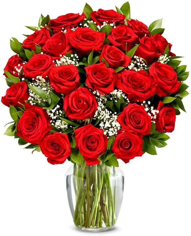 From You Flowers - Two Dozen Long Stemmed Red Roses with Glass Vase | Fresh Flower Bouquets for Birthday, Anniversary, Get Well or Celebration
