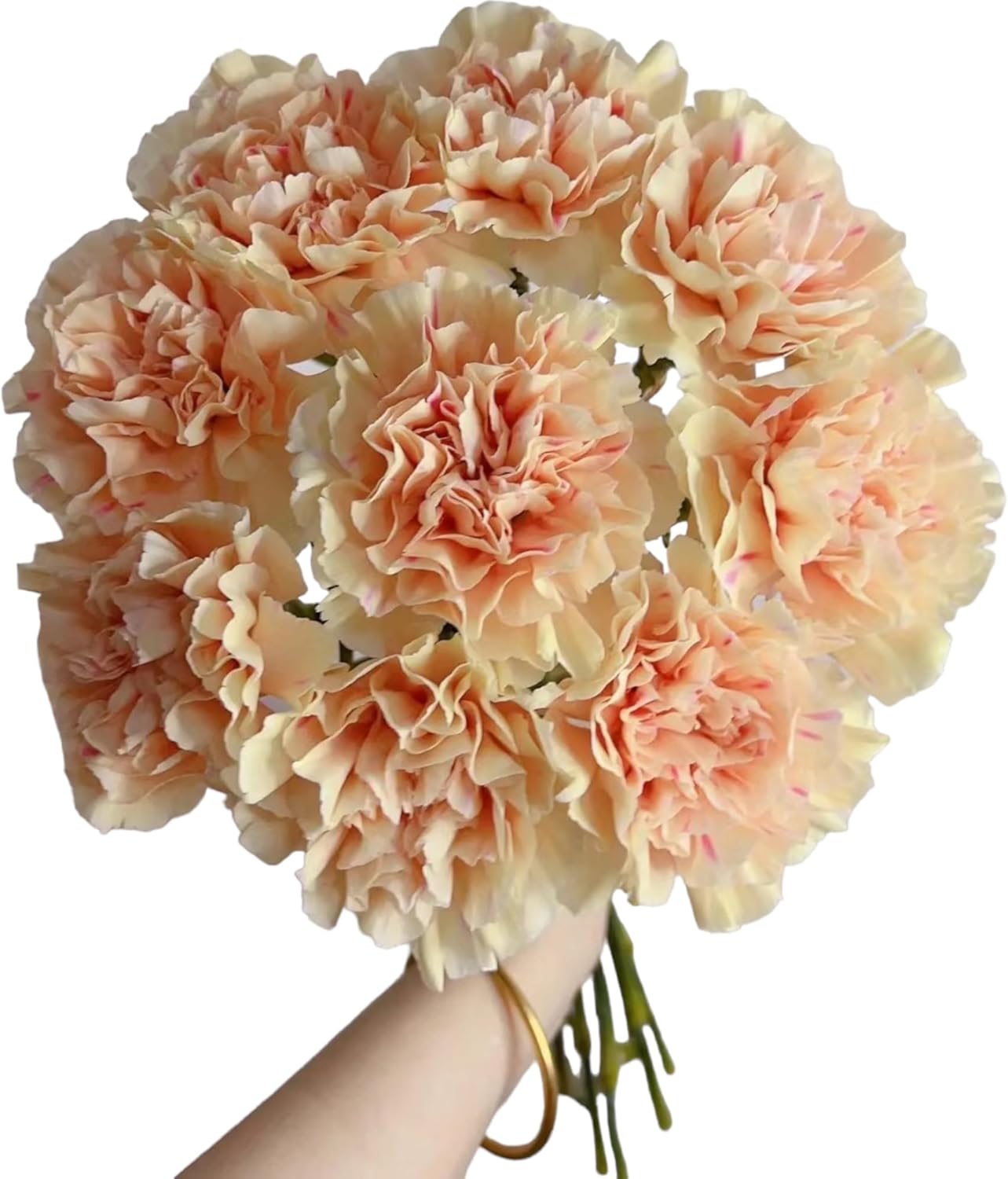 Next-day delivery 38 Apple Tea Color Carnation Flowers DIY Hydroponic Flower Arrangement Mother’s Day Gift Birthday and Love