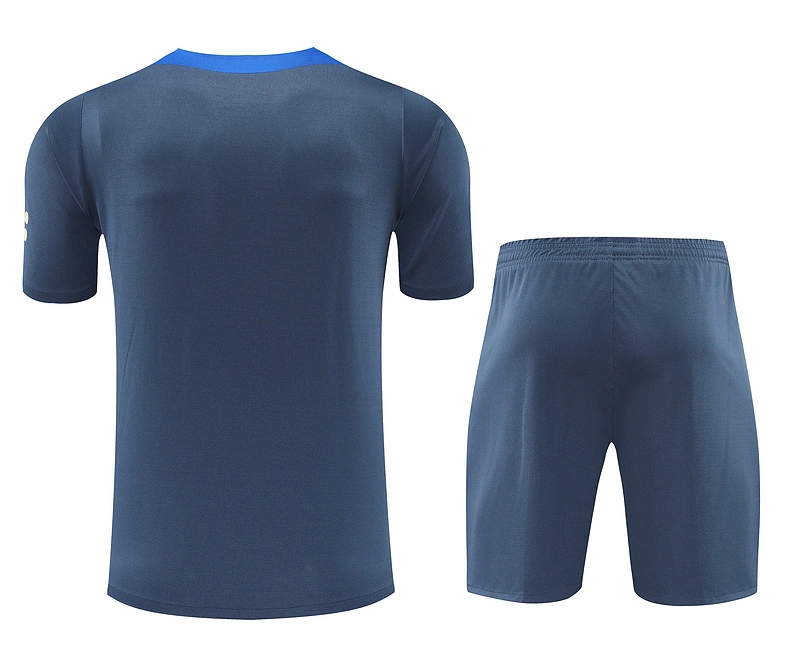 2024-25 Inter Milan Short-sleeved training clothese
