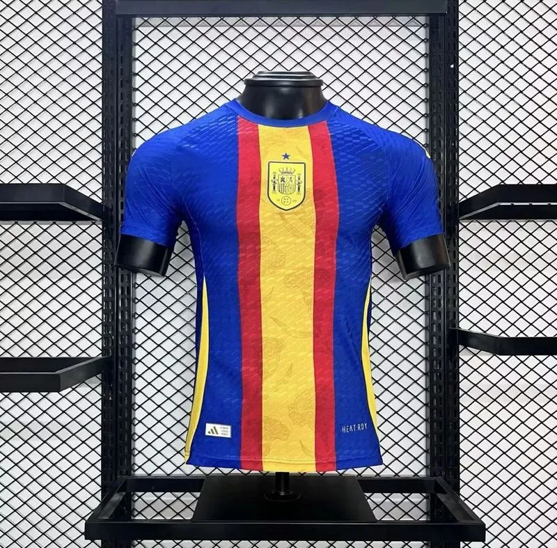 Player 2024-25 Spain Euro Pre-match training uniform Jersey