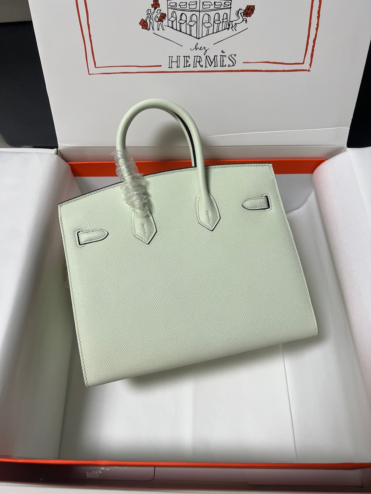 Hermes Birkin Sellier Vert Fizz Epsom Leather Gold Hardware