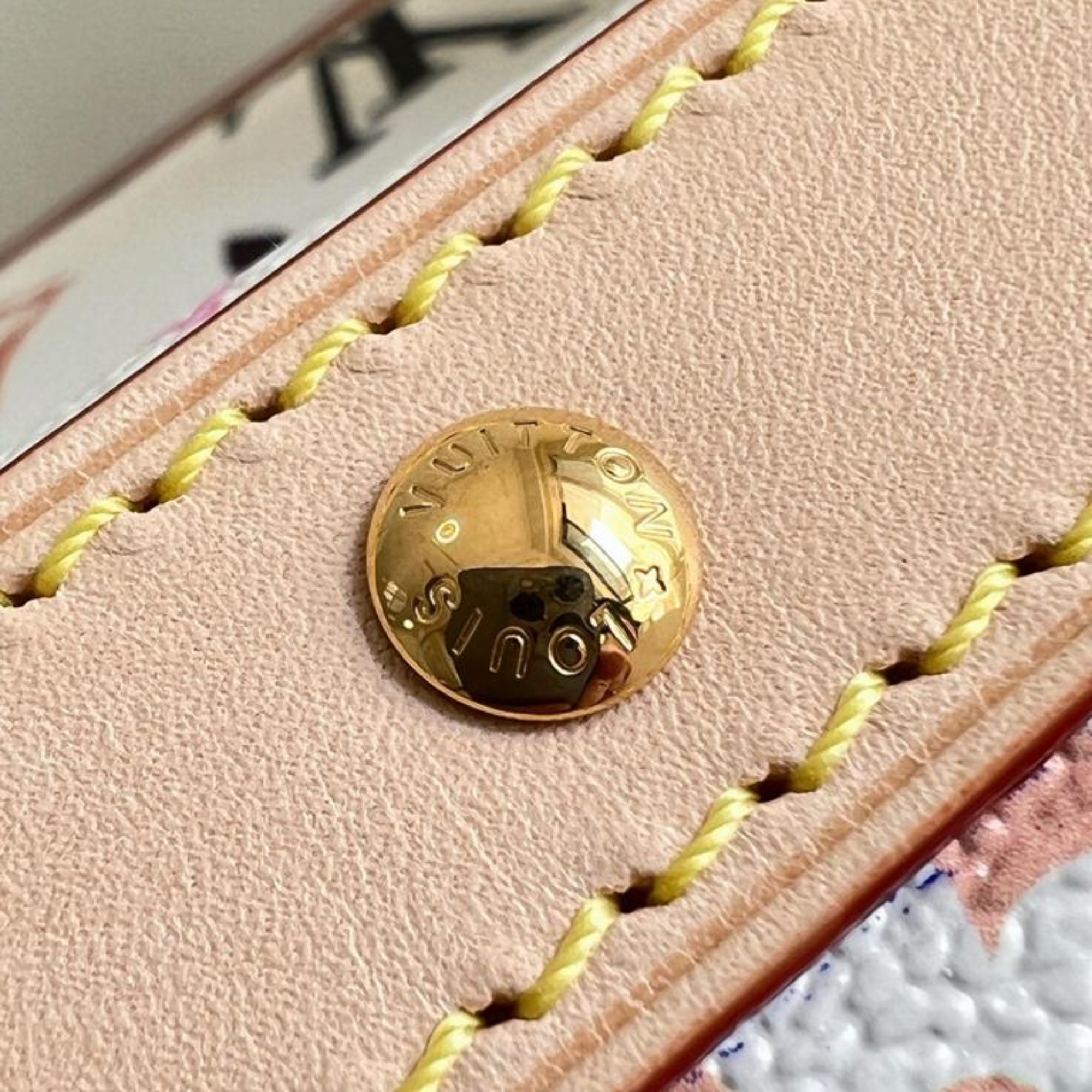Louis Vuitton Diane PM LV x TM M27900 22cm/8.7in