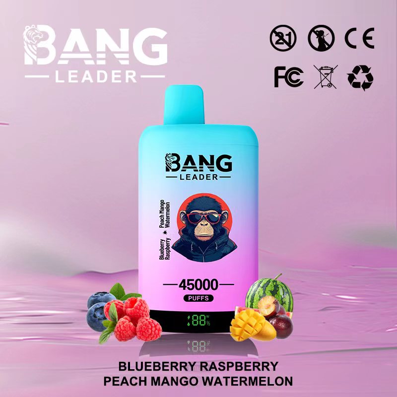 Bang Leader 45K Puffs 2-in-1 Prefilled Vape | Dual Flavor,  Rechargeable