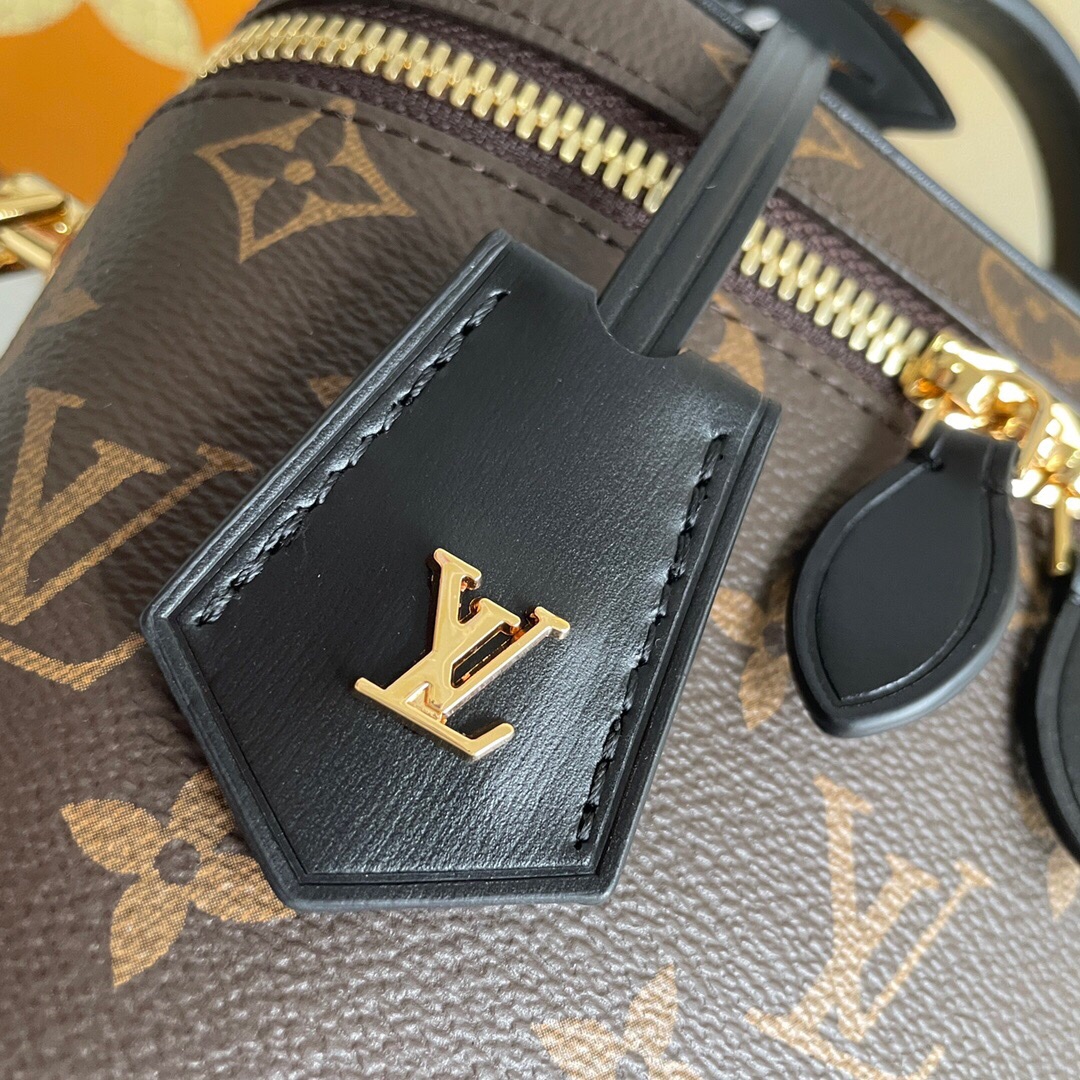 Louis Vuitton Vanity Chain Pouch Other Monogram Canvas 17cm Women Handbags M47125
