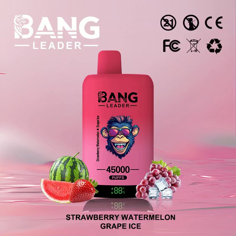 Țigară Electronică Bang Leader 45.000 Pufuri (45K) 2-în-1 | Ecran LED & Ultra-ușor