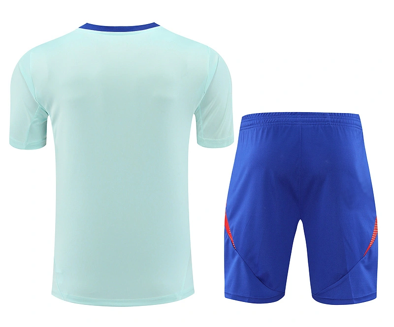 2024-25 Spain Short-sleeved training clothese