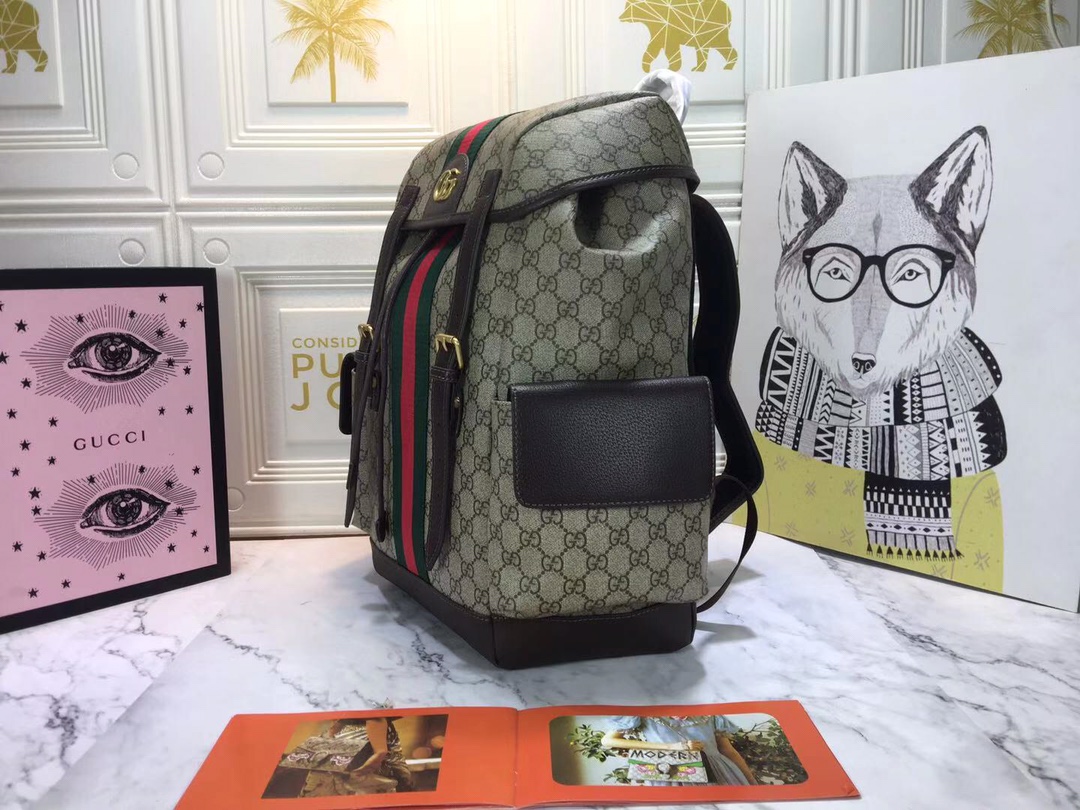 Gucci Ophidia Gg Medium Large Backpack 40Cm 598140 Huhat 8564