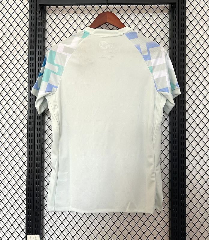 2025/2026 Serie A Inter Milan Team Away Football Jersey